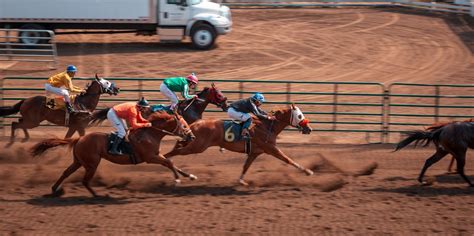 sprintvalley race card today